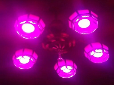 WIFI LED RGBW灯泡